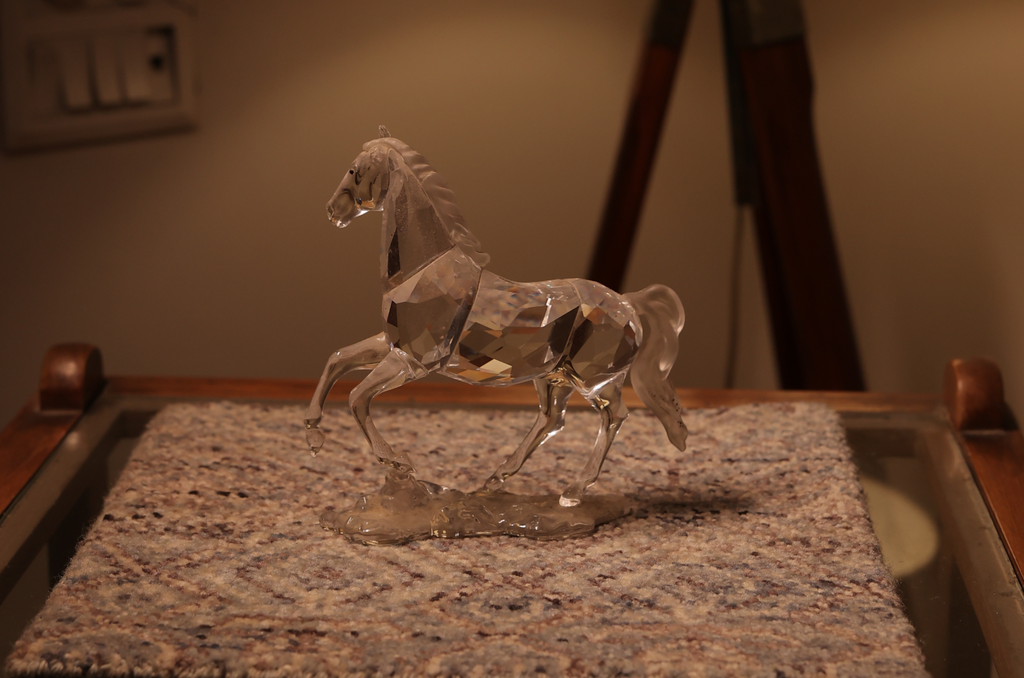 Torana Carpet Mat ( set of 2)