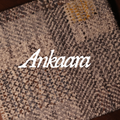 Ankaara Table Mat (Set of 2)