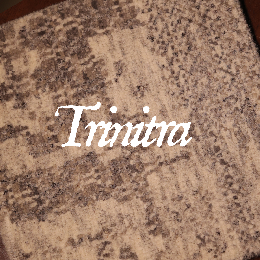 Trinitra Carpet Mat ( set of 2)